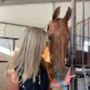 Meet your Posher, Susan